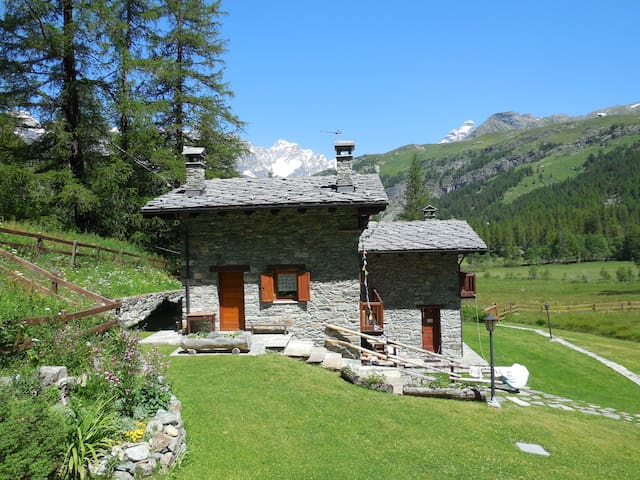 Apartment surrounded by nature