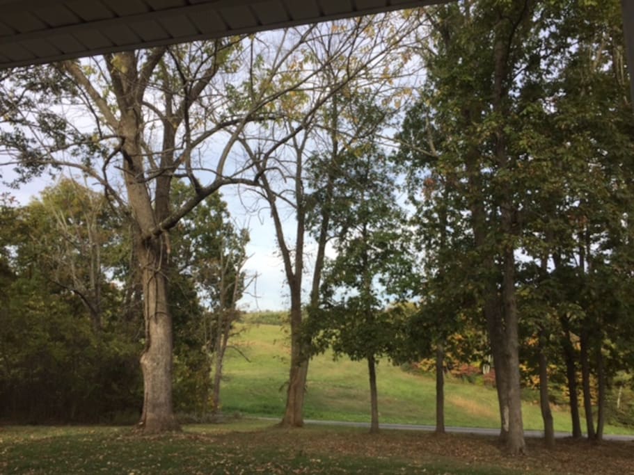 View from front porch swing