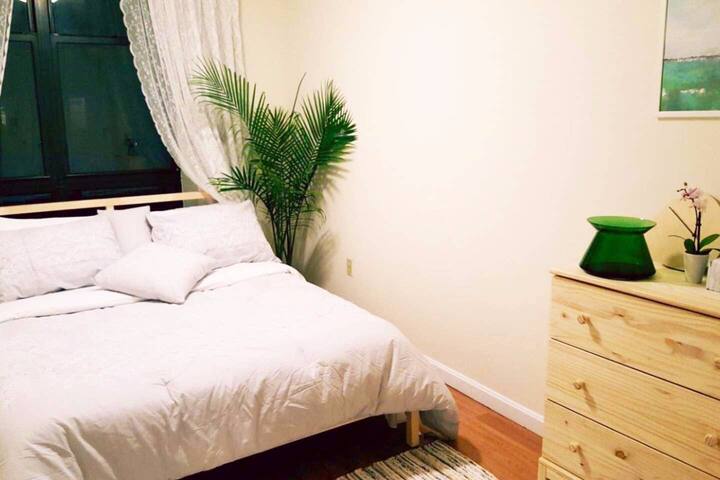 In The Heart of Downtown Boston