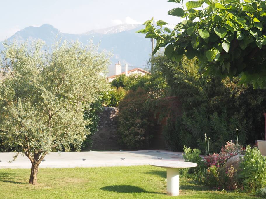 la vue sur le canigou