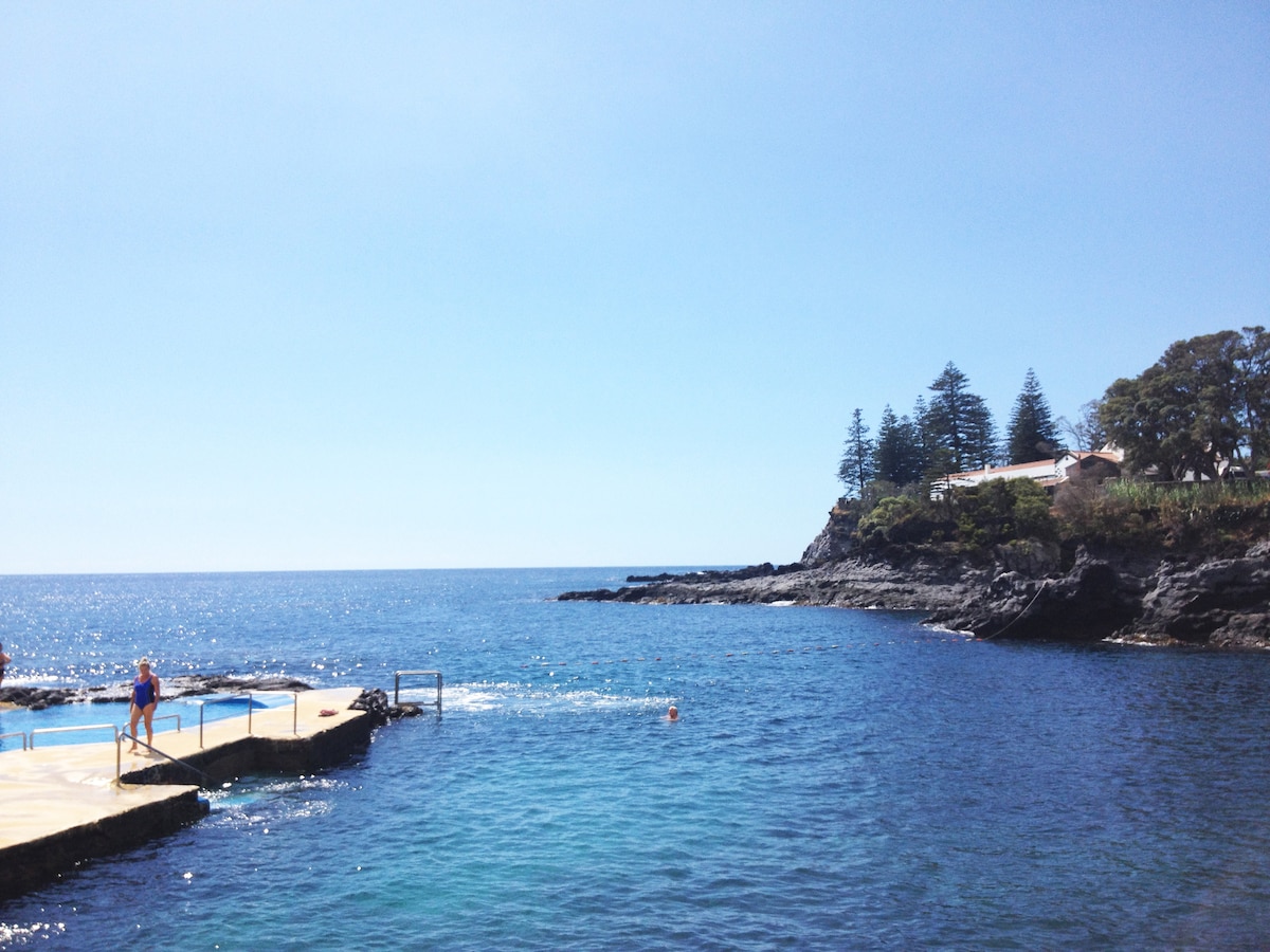 A vast expanse of calm blue water is captured under a clear sky. A deck extends towards the water, providing access for swimming. In the distance, a rocky shore is visible, adorned with lush greenery and a few structures nestled among the trees.