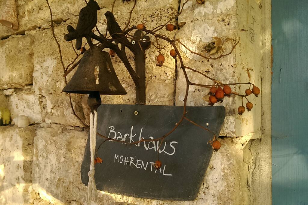 Backhaus