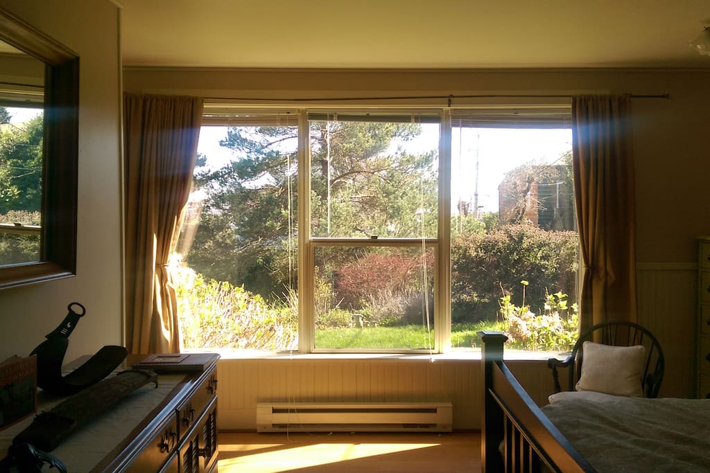 Stunning English garden view
