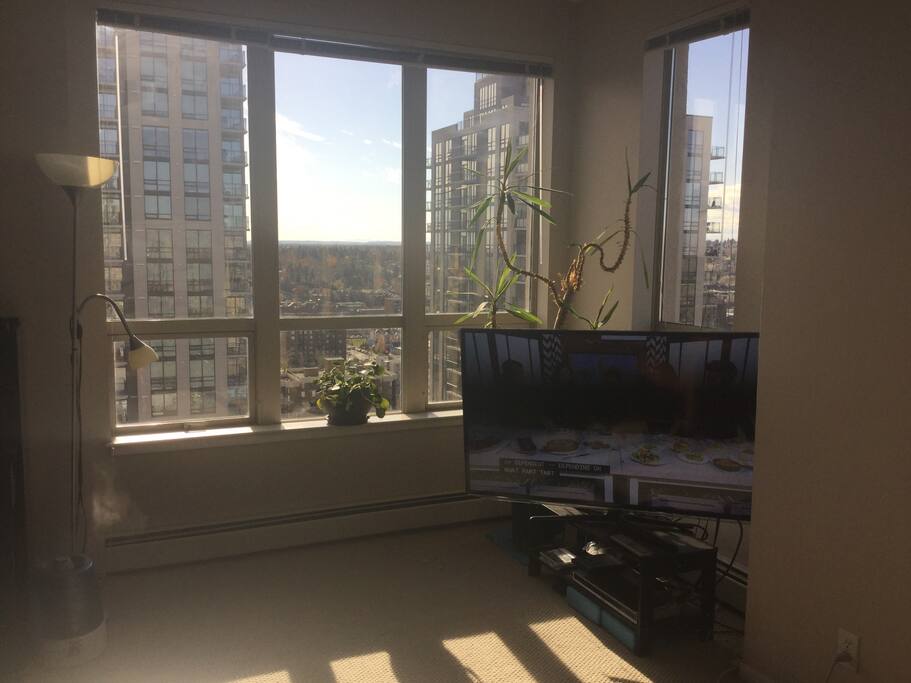 Living Room 3