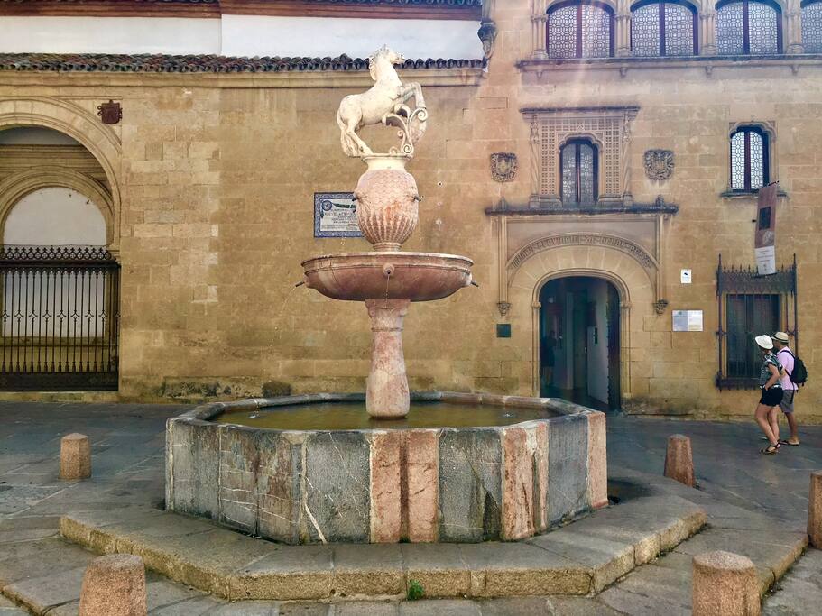 Plaza del Potro, ubicadda a escasos metros de la casa