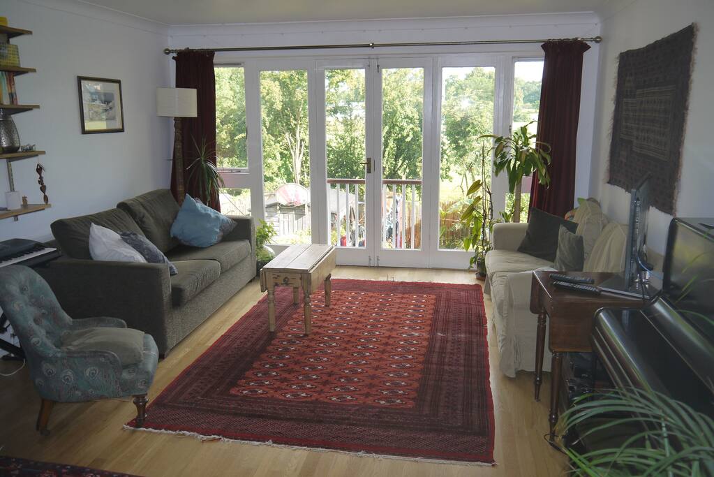 Living room with sofa bed