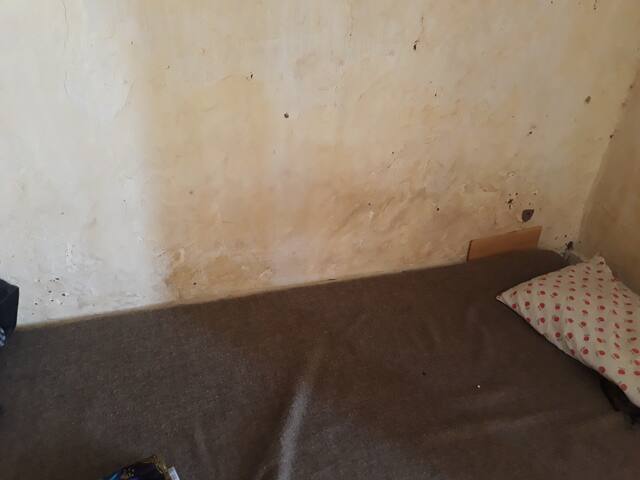 Chally's room service