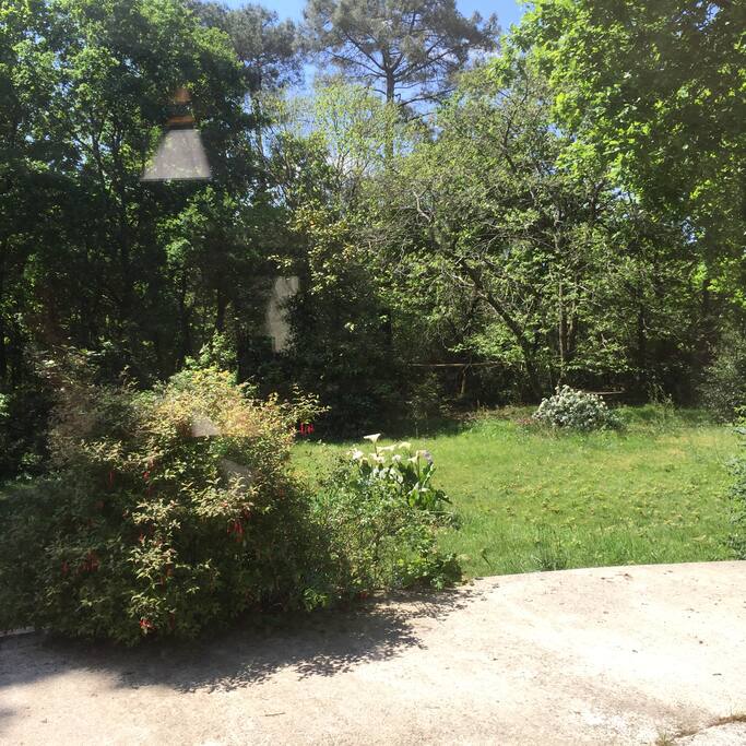 Jardin
