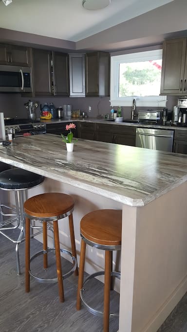 Newly renovated kitchen, with gas stove and dishwasher, with eat at island or dinning room