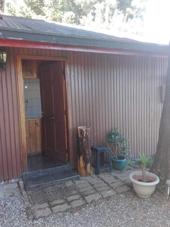 The entrance to a rustic cabin is framed by natural wood paneling and features a wooden door. A small potted plant and a striking log accent the pathway, which is lined with gravel and tiles, creating a welcoming approach.