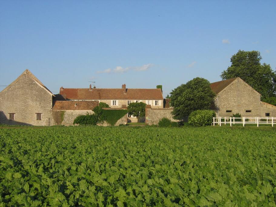 Ferme briarde en activité