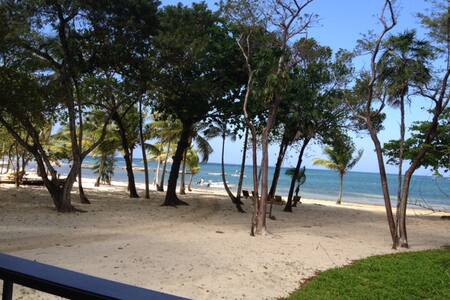 Top 20 french cay vacation rentals, vacation homes & condo rentals ... Interior Patio Beaches diseño