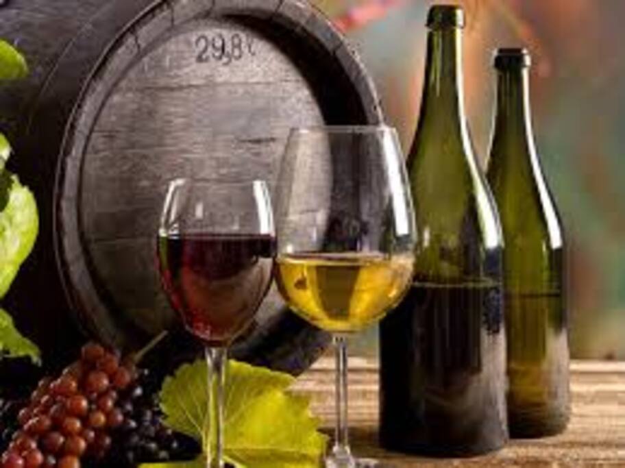 percorsi enogastronomici e vinicoli