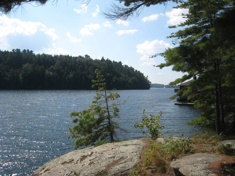 View from the corner of the property. You can walk into the lake for a swim.