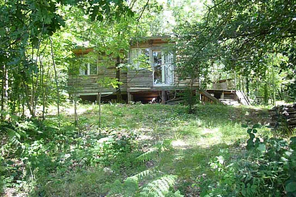 cabane dans clairière