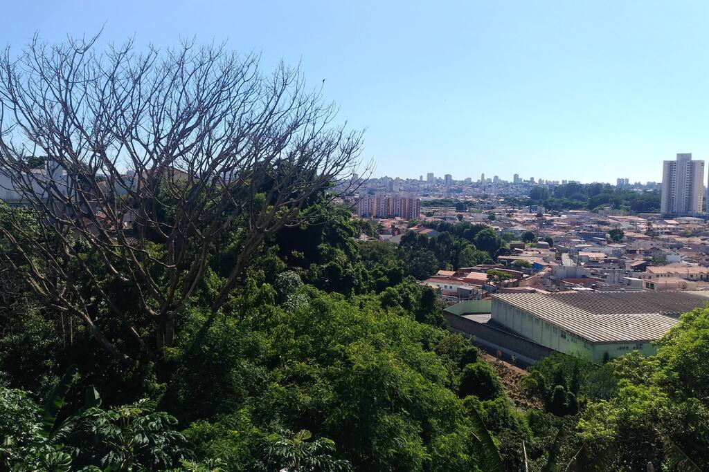Vista das janelas da casa
