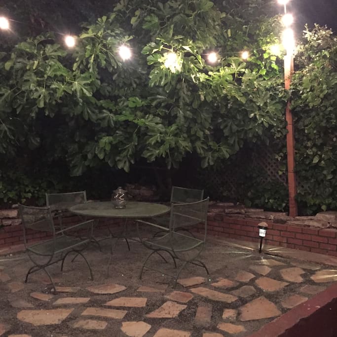 Backyard Oasis