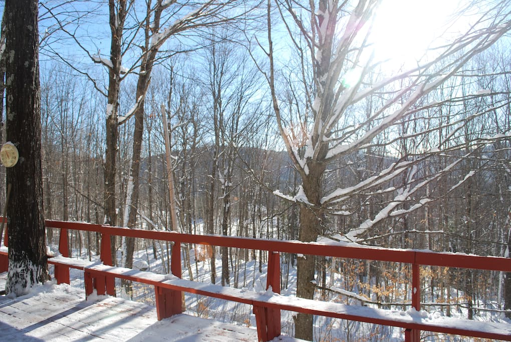 View from the deck
