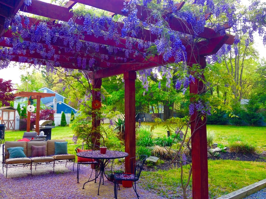 Wisteria Covered Patio - Grill & Yard