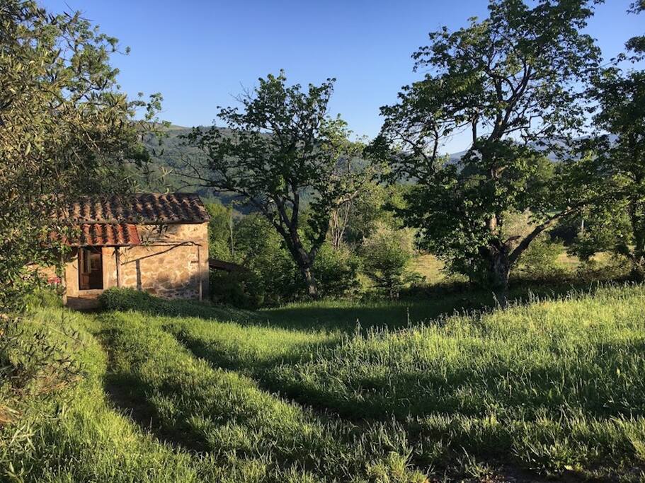 Casa Ciliegi