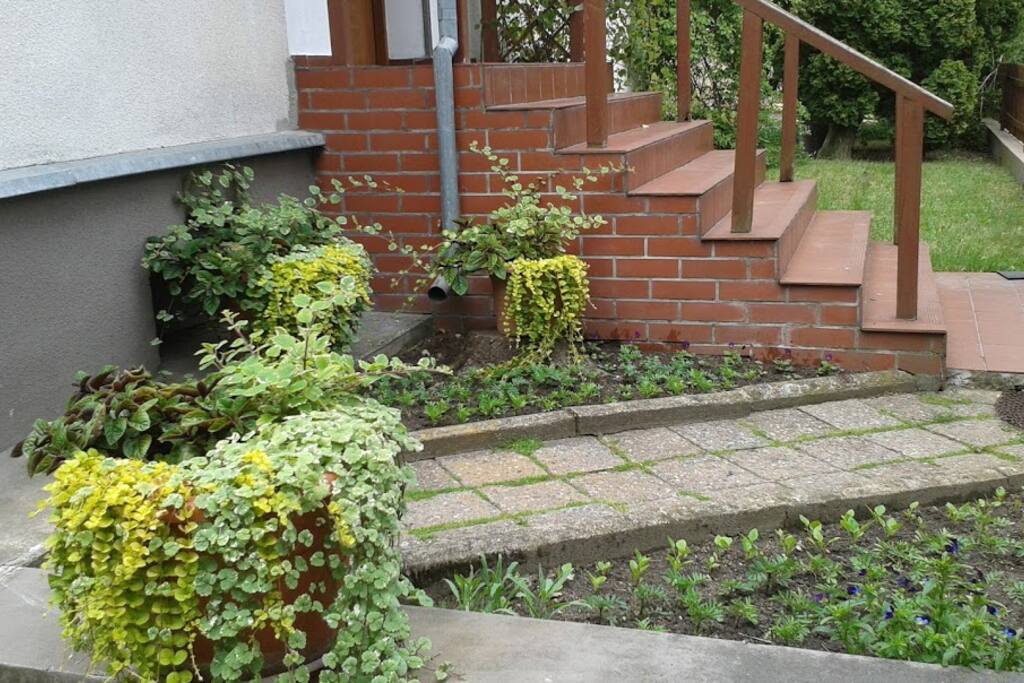 Wejście do domu od strony ulicy