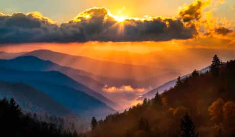 The Carriage House - The Mountains are calling