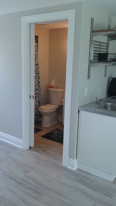 Entry to 3 pc. bath - walk in custom tiled shower