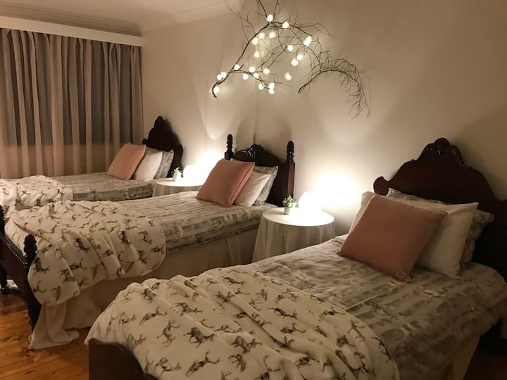 Три единични легла и едно двойно легло в този преустроен веранда 