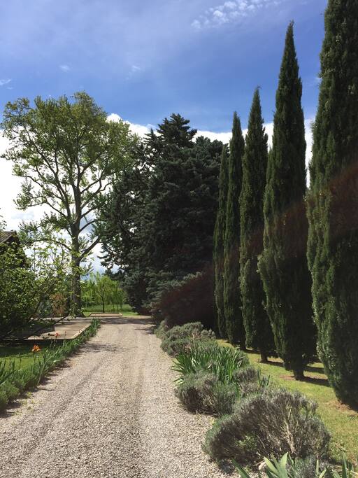 Allée d'entrée