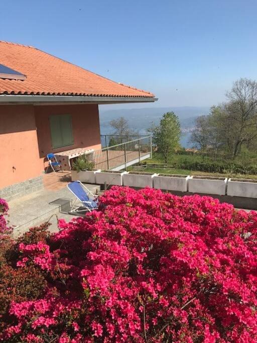 Terrazzo Solarium