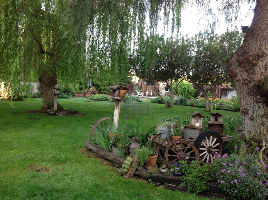 View lush gardens and shade from the cottage patio.