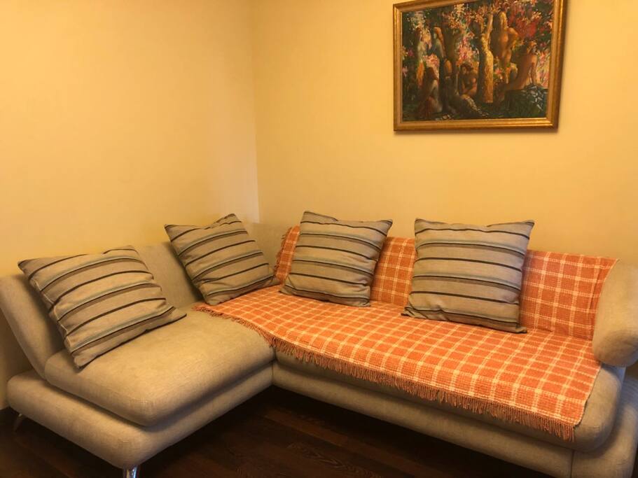 This sofa may transforms to double bed .
