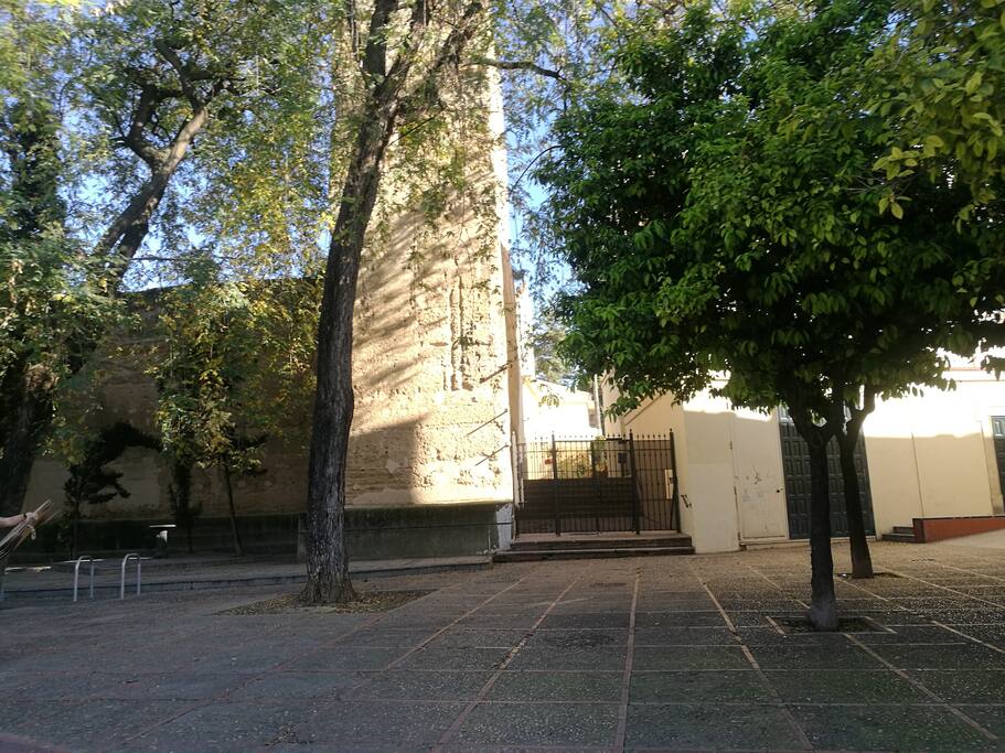 Acceso principal