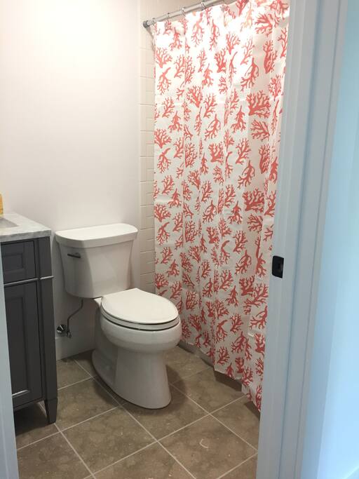 Guest Hallway Bath