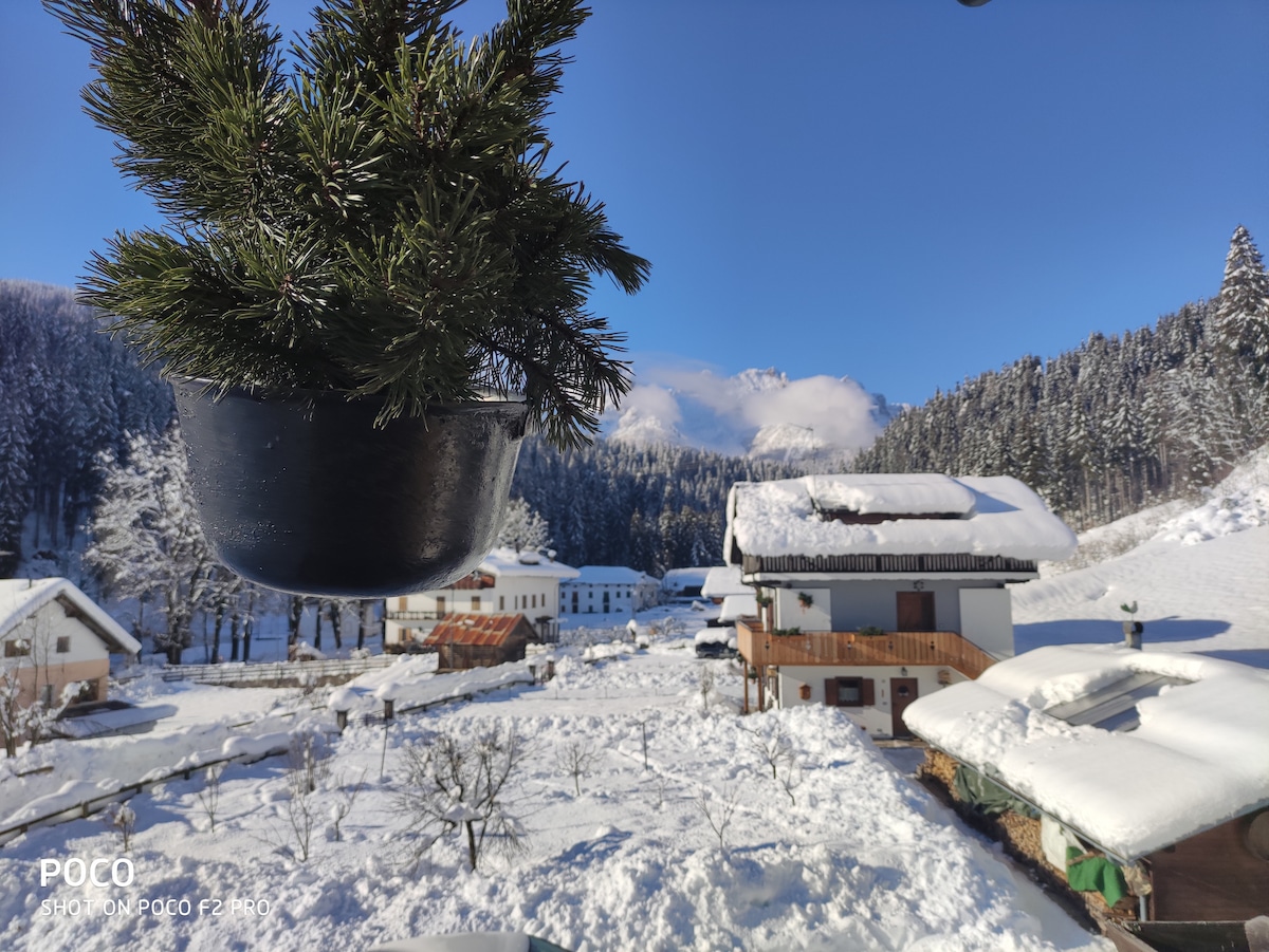 A winter landscape is depicted, featuring snow-covered rooftops of houses nestled among trees. A small conifer in a pot hangs in the foreground, providing a contrast to the white scenery. Mountains are visible in the distance, partly obscured by clouds.