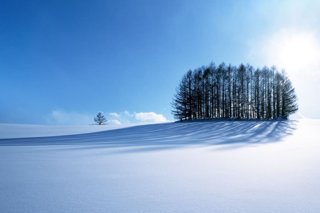 Winter solitude