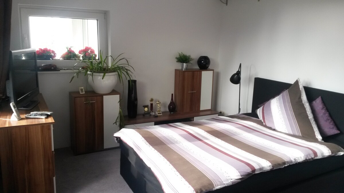 A bright room features a spacious bed with striped bedding and decorative pillows. A television is placed on a wooden dresser next to a stylish wall-mounted lamp. Green plants adorn the window ledge, adding a touch of nature to the overall decor.