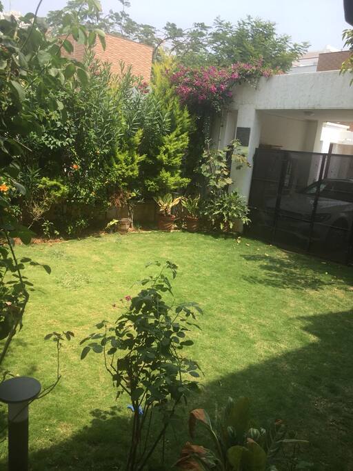 Spot Butterflies and Migratory birds while enjoying your morning tea with breakfast