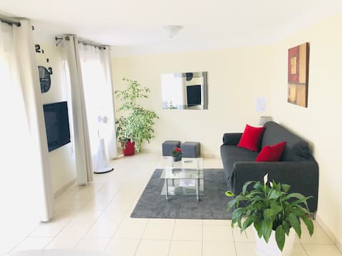 Beautiful Apartment near Geneva