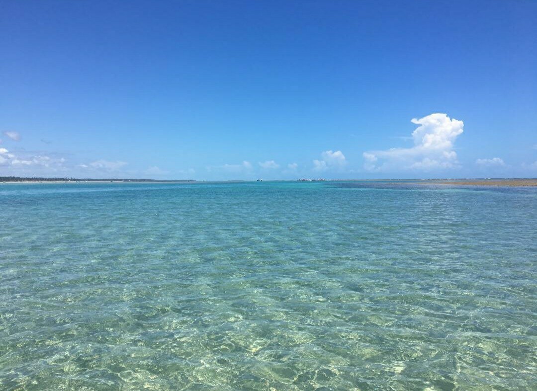 A serene water scene is displayed, featuring clear turquoise water that stretches toward the horizon. Gentle ripples can be observed on the surface, with a few scattered clouds visible in the bright blue sky above.