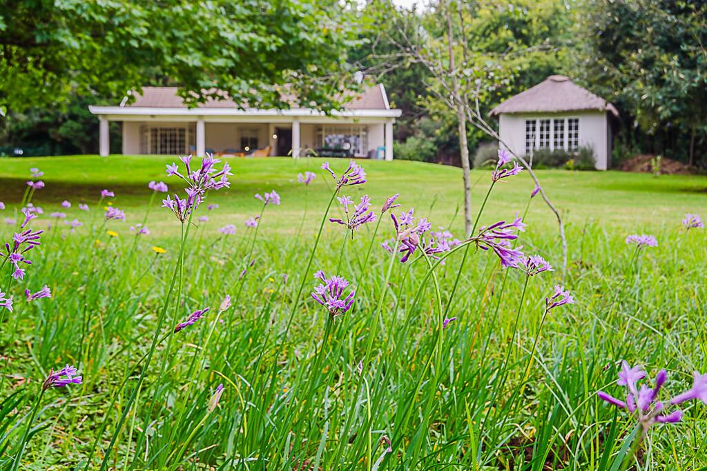 flowing lawn