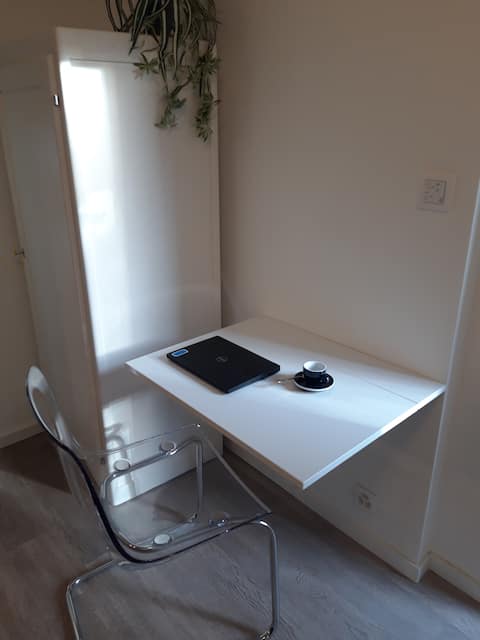 Charming studio in the old town of Carouge
