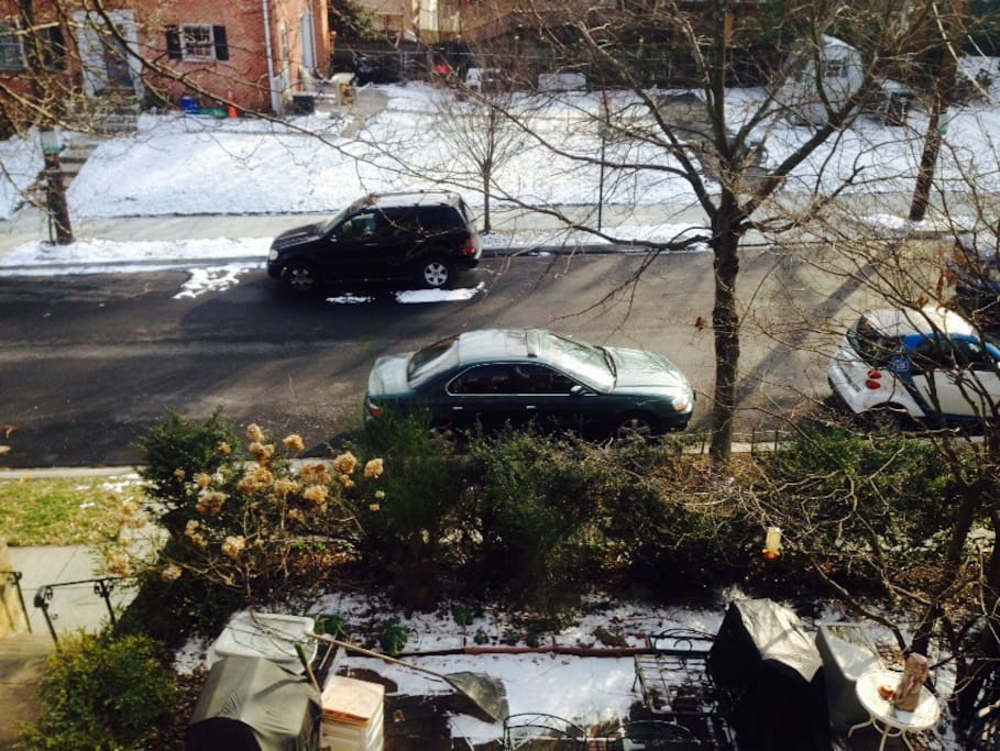 This is the view from my window the room has 3 large windows.