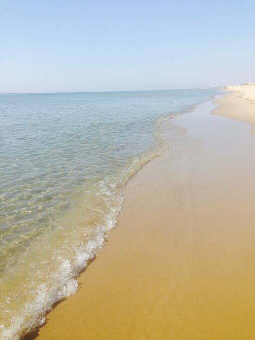 nelle vicinanze: tratto di spiaggia libera - Riva dei Tessali