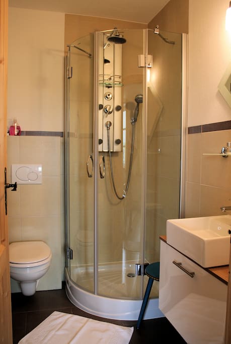 Badezimmer mit Echtglas-Wellneßdusche