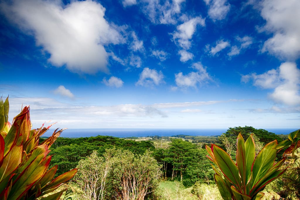 View from Lanai