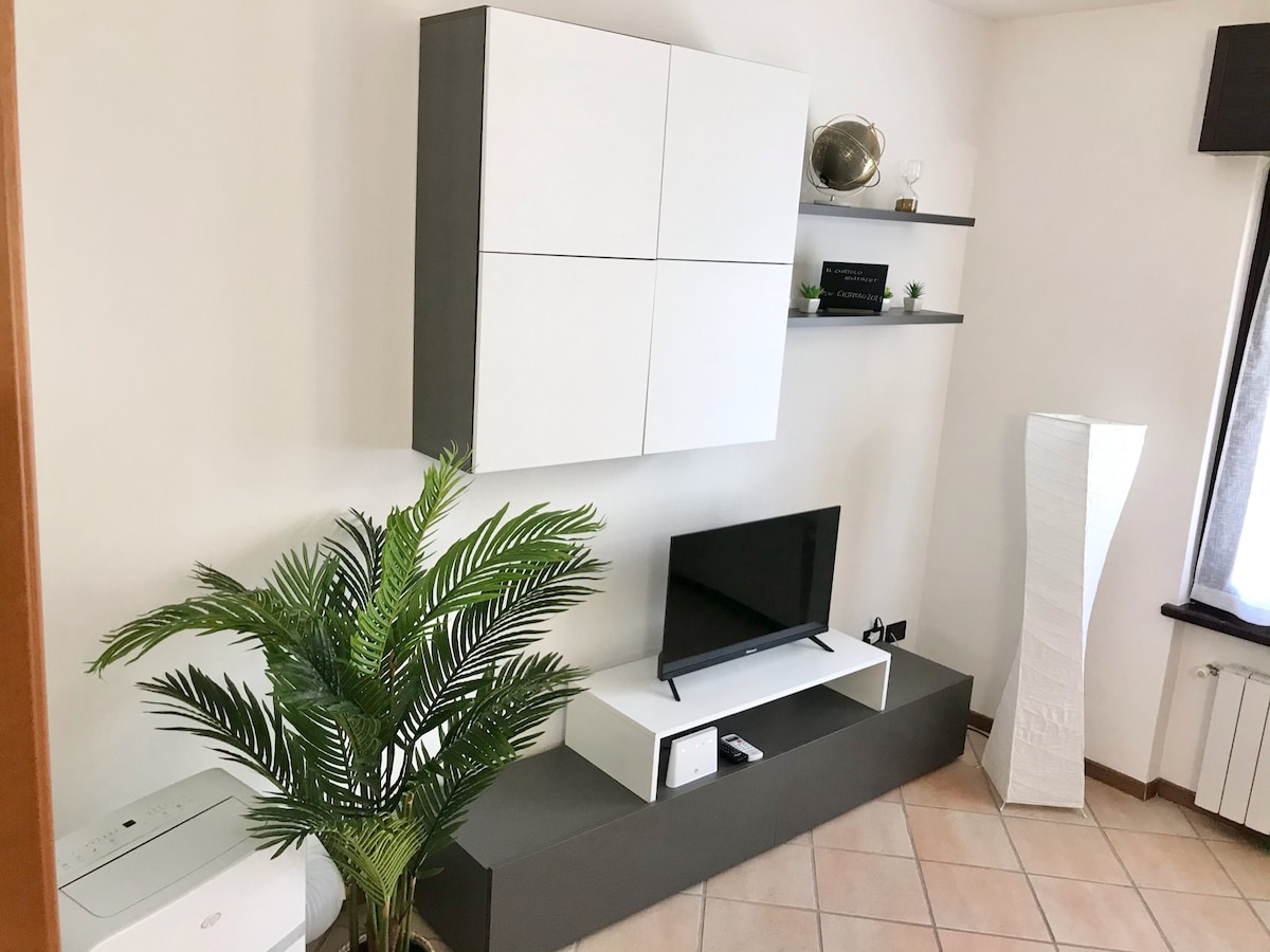 A modern living area features a sleek TV unit with a flat-screen television. Above, decorative shelves hold small plants and an elegant globe. A tall, white lamp provides additional light, while a potted plant adds a touch of greenery to the space.