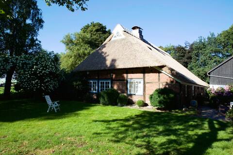 Dream thatched roof house (sauna, fireplace, up to 10 pers.)