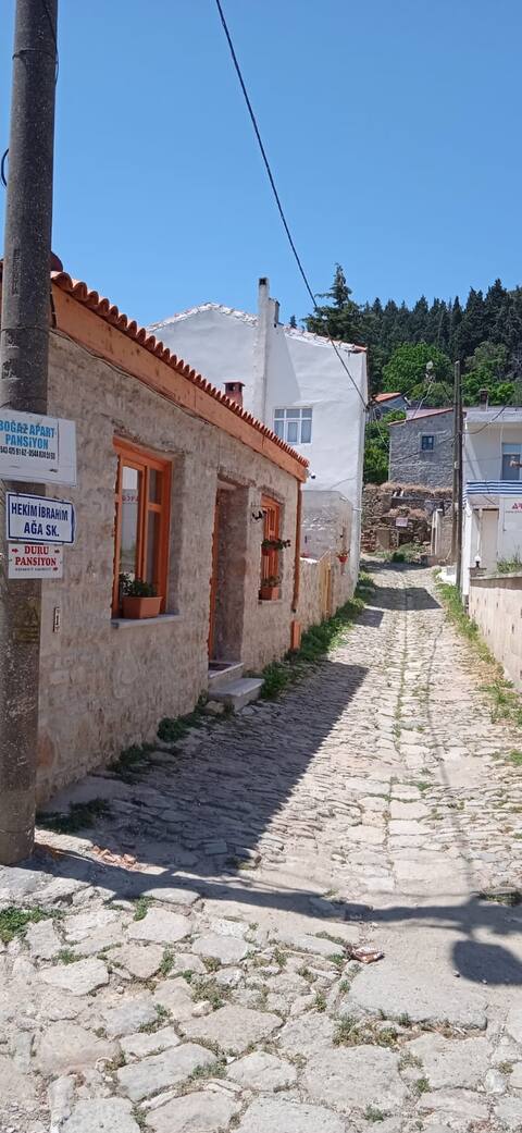 Real Historical Stone House