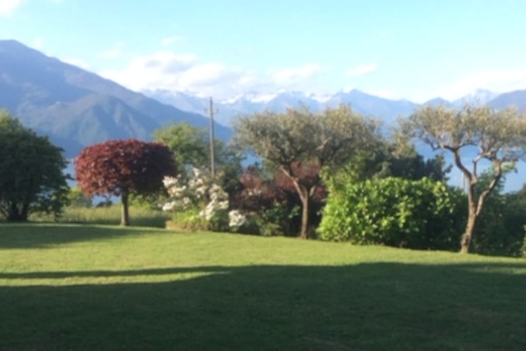 Panorama giardino